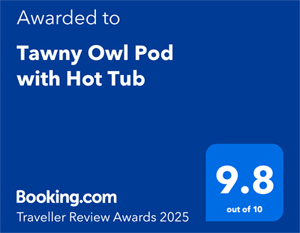 Award 2025